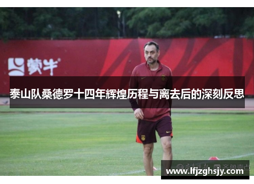 泰山队桑德罗十四年辉煌历程与离去后的深刻反思