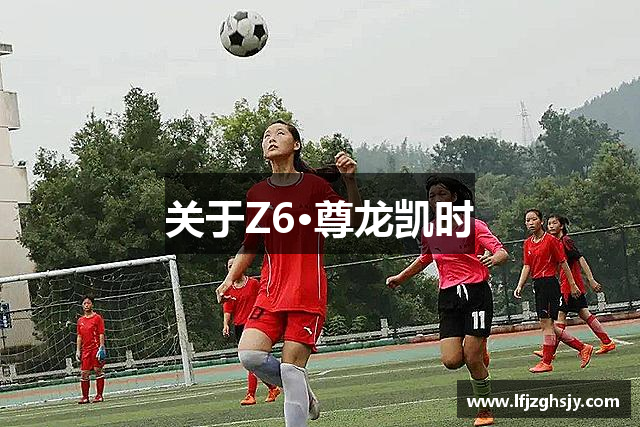 关于Z6·尊龙凯时